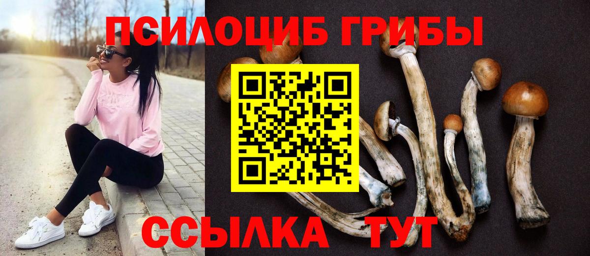 Боровичи  Галлюциногенные грибы мицелий  Вход с VPN 