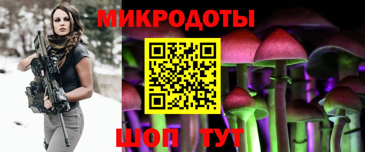 Псилоцибиновые грибы мицелий Боровичи